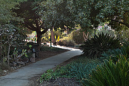 Bernhard Saalfeld - Nir Oz (7v9)